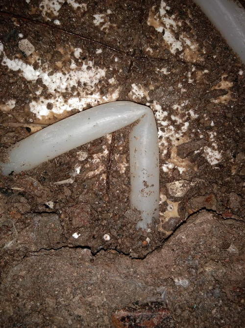 崇礼堵点精准查找